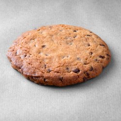 Cookie Khorasan chocolat posé sur un fond gris